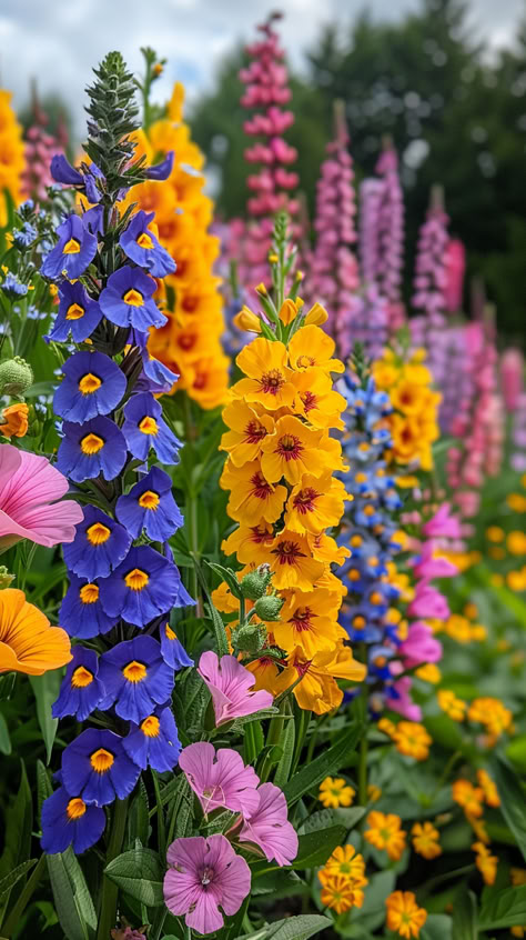 Must-Have Tall Perennial Flowers for Your Garden: 15 Varieties Boho Flower Garden, Flower Planting Ideas Outdoor, Come Flower Garden, Garden Flower Combinations, Tall Planter Flower Ideas, Good Flower Combinations, Flowers In Garden Ideas, Perrenial Flowers Front Of House, Colorful Perennial Garden