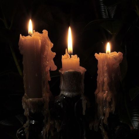 Dark Acadamia, Yennefer Of Vengerberg, Candle Aesthetic, 다크 판타지, Witch Aesthetic, Dark Academia Aesthetic, Fantasy Aesthetic, Academia Aesthetic, Light Academia