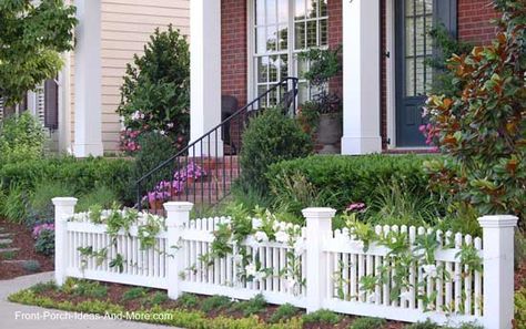 Flowering vines wind along a #picketfence for added appeal of #porch: front-porch-ideas-and-more.com Vinyl Picket Fence, Wood Picket Fence, Vinyl Fence Panels, Picket Fence Panels, Small Front Gardens, Picket Fences, White Fence, Front Garden Design, Front Yard Design