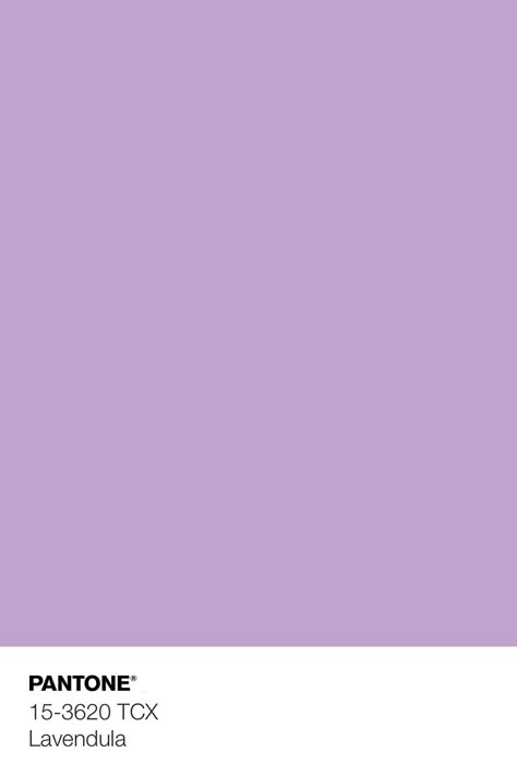 Purple Aesthetic Color Pallete, Paramochy Purple, Light Purple Pantone, Pantone Purple Shades, Purple Color Swatch, Lavender Color Wallpaper, Color Purple Aesthetic, Purple Color Aesthetic, Lilac Pantone