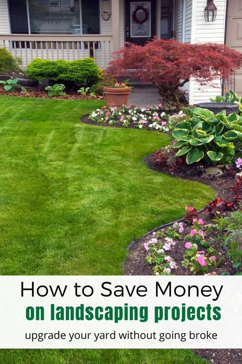 Need landscaping ideas that won't cost a fortune?  From planting perennials to landscaping around trees with upcycled bricks, there are a ton of ways to save money on your next DIY backyard project.  #DIYprojects #outdoorlivingtips #savingmoney #landscapingideas #curbappeal #frontyard #frontofhome #home Home Landscaping Ideas, Front Yard Garden Ideas, Landscaping Around Trees, Yard Garden Ideas, Small Front Yard Landscaping, نباتات منزلية, Yard Landscaping Simple, Small Front Yard, Landscaping Simple