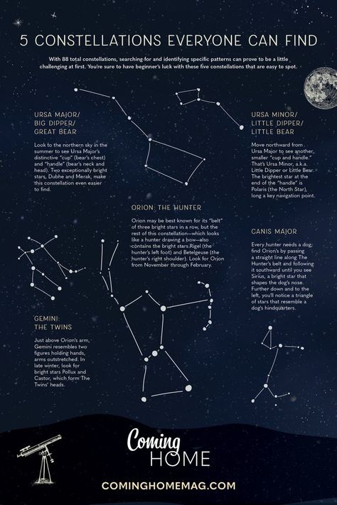 5 constellations anyone can find Ursa Major Ursa Minor, Orion The Hunter, Constellation Drawing, Dipper Constellation, Canis Major, The Big Dipper, Astronomy Stars, Orion Constellation, Ursa Minor