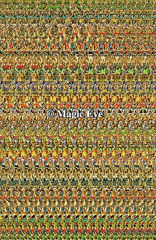 Magic Eye Products : Posters Magic Eye Posters, Magic Eye Pictures, Eye Products, Eye Pictures, Magic Eyes, Bedrooms Ideas, Braided Rugs