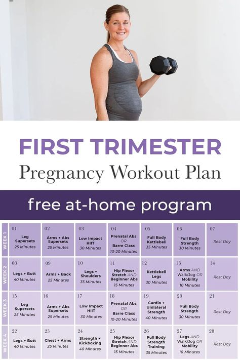 Pregnancy Exercise First Trimester, Prenatal Workout Plan, Pregnancy Ab Workout, Second Trimester Workouts, Pregnancy Abs, Best Pregnancy Workouts, First Trimester Workout, Exercise While Pregnant, Pregnancy Workout Videos