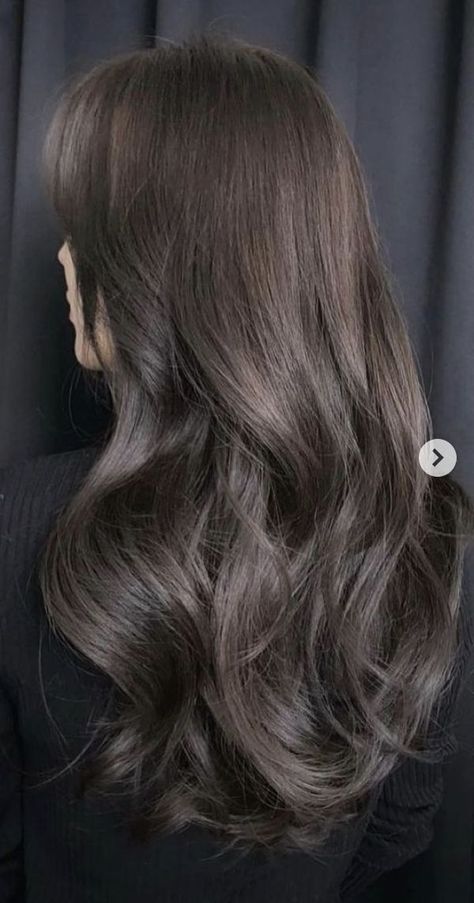 Cool Toned Ash Brown Hair, Long Cool Toned Brown Hair, Cold Chocolate Hair Color, Cool Brunette Hair Color Ash Brown Dark, Brunette Mushroom Hair, Muted Black Hair, Medium Dark Ash Brown Hair, Dark Gray Brown Hair, Darkest Ash Brown Hair