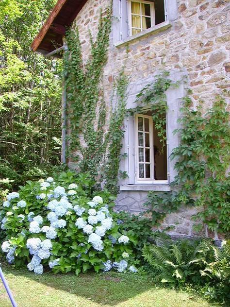 Sunset Garden, Irish Country, French Farmhouse Decor, Have Inspiration, Stone Cottage, Farmhouse Exterior, French Cottage, Gardening Flowers, Design Exterior