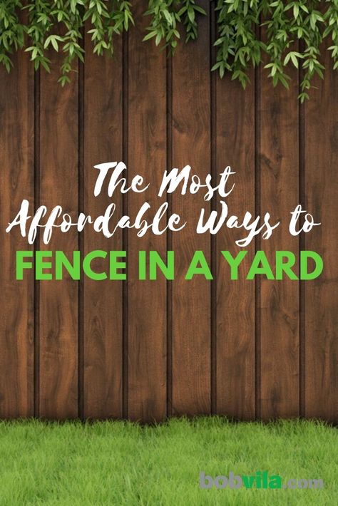 Living Privacy Fences, Cheap Privacy Fence, Diy Backyard Fence, Diy Privacy Fence, Fence Options, Privacy Fence Designs, Cheap Fence, Backyard Fence, Backyard Privacy