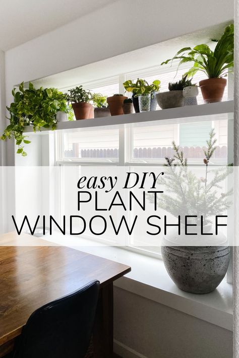 Window Plant Shelves Diy, Plant Window Shelf, Shelf Over Window, Diy Window Shelf, Kitchen Window Plants, Window Shelves For Plants, Window Shelf For Plants, Shelf For Plants, Plant Ledge