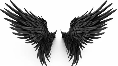 3d illustration demon wings,black wing plumage isolated on white background,hd photography photo,angel wings,feather,wings,fantasy,freedom,angel,black,dark,devil wings,wing,white wings,angel background,devil,fantasy background,feather background,fluffy,fly,black white,dark background White Wings Angel, Soulmate Tattoos, Angel Background, Half Angel Half Demon, Dark Angel Wings, Guy Denning, Dark Devil, White Background Hd, Devil Wings