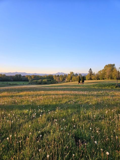 Golden Hour    #vsco #aesthetic #meadow #goldenhour #sunset #mountains Golden Hour Mountains, Bau Aesthetic, Aesthetic Meadow, Meadow Aesthetic, Meadow Mountain, Sunset Meadow, Golden Meadow, Sunset Mountains, Special K