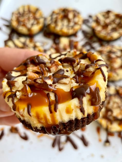 Elegant Mini Cheesecakes, Turtle Tassies, Miniature Appetizers, Turtle Cheesecake Recipes, Cookie Dough Fudge, Cheesecake Squares, Mini Turtle, Turtle Cheesecake, Mini Cheesecake Recipes