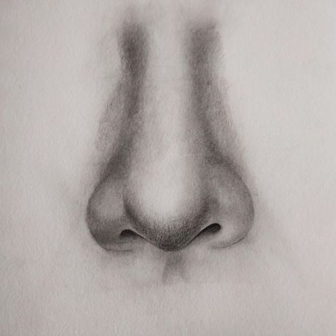 How to Draw a Nose: Step By Step Guide For Beginners - Hobby Lesson Sketch Nose, Art Nose, Coloring Materials, Nose Tattoo, How To Draw A Nose, Draw A Nose, Tree Drawings Pencil, Story Post, Nose Drawing