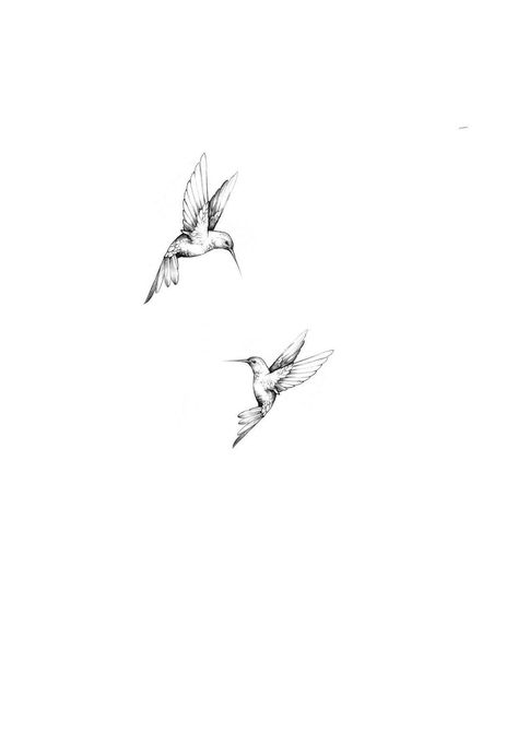 Bird Tattoo Matching, Hummingbird Couple Tattoo, Small Colibri Tattoo, Eagle Bird Tattoo, Bird Tattoo Robin, Back Tattoo Women Bird, Tattoos That Represent Femininity, Fine Line Magpie Tattoo, Bird And Bee Tattoo