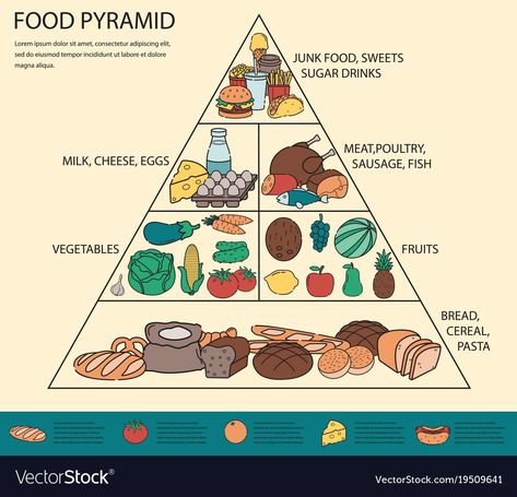 Healthy Food Pyramid, Healthy Eating Pyramid, Healthy Eating Breakfast, Food Pyramid, Healthy Food List, Healthy Dog Treat Recipes, Kids Diet, Preschool Activity, Dog Treat Recipes