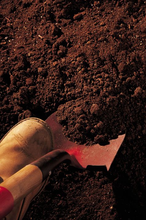 How to Get Through Hard Dirt & Roots. Various tasks -- from planting to installing a mail post -- require digging through dirt. Unfortunately, not all soil is soft and easy to dig. Digging through hard dirt and roots can be a difficult process when using normal gardening tools. Shovels do little to break up compacted and hard soil and merely nick... Finlay Donovan, Aquarium Soil, Elemento Terra, Perennial Shrubs, Soil Testing, Organic Soil, The Magnus Archives, Ground Breaking, Low Maintenance Garden