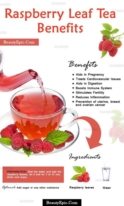 raspberry leaf tea benefits #foodismedicine #raspberryleaf #raspberry Raspberry Leaf Tea Benefits, Tomato Nutrition, Calendula Benefits, Raspberry Leaf Tea, Raspberry Leaf, Matcha Benefits, Lemon Benefits, Coconut Health Benefits, Stomach Ulcers