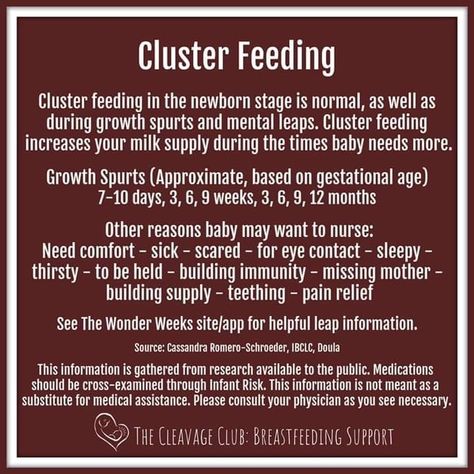 Cluster Feeding Newborn, Feeding Newborn, Cluster Feeding, Gestational Age, Baby Care Tips, Baby Advice, Milk Supply, Breastfeeding Tips, Baby Needs