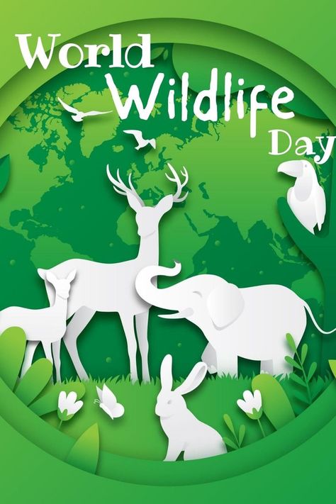 World Wildlife Day! Save Wild Life Poster, Wild Life Conservation Poster, Save Wild Life Poster Drawing, World Conservation Day Poster, Biodiversity Poster Ideas, Wildlife Conservation Poster, World Environment Day Posters, Wildlife Week, World Wildlife Day