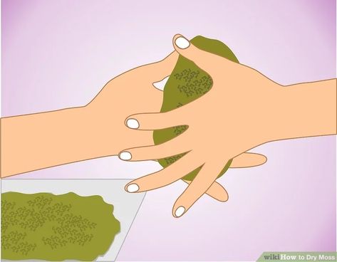 How to Dry Moss: 10 Steps (with Pictures) - wikiHow Preserve Moss, Preserved Moss, Moss Art, Craft Products, Garden Yard Ideas, Open Window, How To Dye Fabric, Craft Materials, A Craft