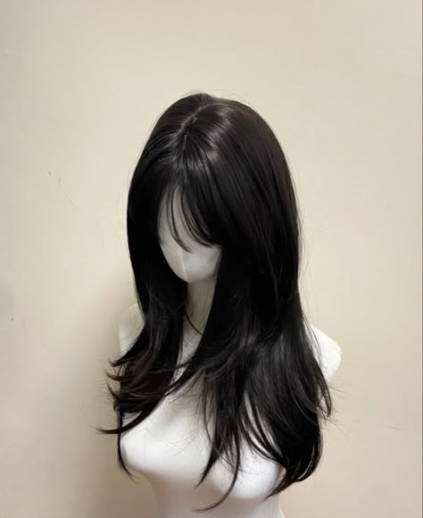 Cute Haircuts For Long Hair With Bangs, Small Head Big Body, Hair Claims For Dr, Asian Layered Hair, Korean Hush Cut, Back Of Hair, Pretty Hair Cuts, Straight Black Hair, Hair Style Korea