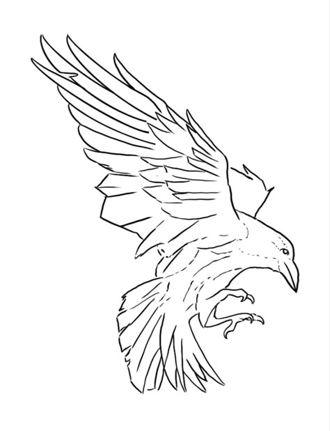 Crow Line Art Tattoo, Raven Line Art Tattoo, Crow Sketch Tattoo, Raven Tattoo Linework, Raven Outline Drawing, Raven Drawing Sketch Simple, Raven Sketch Simple, Crow Line Tattoo, Crow Tattoo Linework