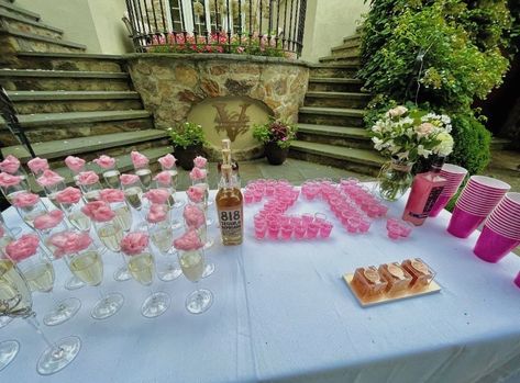 21st birthday decor twenty first pink decor champagne glasses tequila 21st Birthday Outdoor Decorations, 21st Birthday Party Table Set Up, 21st Birthday Flower Decorations, 21st Elegant Birthday Ideas, 21st Birthday Outdoor Party, Spring 21st Birthday Party, 21st Hotel Decorations, Silver And Pink 21st Birthday, Pink Birthday Party Aesthetic 21