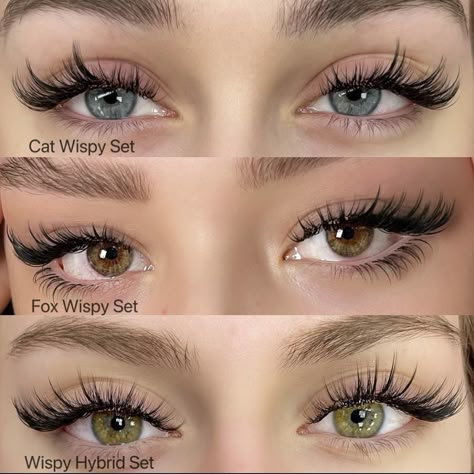 Types Of Eyelashes Extensions, Types Of Lashes Extensions Styles, Fox Eyelashes Extensions, Fox Lash Extensions, Type Of Lash Extensions, Types Of Lash Extension Styles, Types Of Eyelash Extensions Styles, Lash Extensions Cat Eye, Fox Lashes