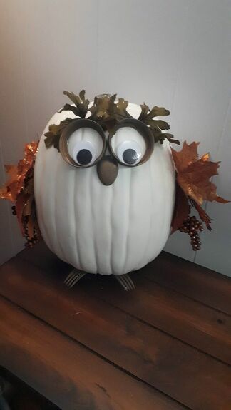 Pumpkin Owl Craft, White Pumpkin Owl, Owl Painted Pumpkins Ideas, Artificial Pumpkin Decorating Ideas, Owl Pumpkin Decorating, Easy Pumpkin Decorating Ideas, Pumpkins Decorating Ideas, Easy Pumpkin Decorating, Arbor Garden