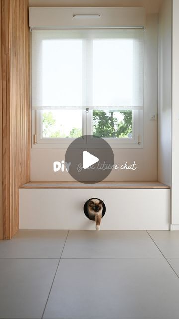 Cécile Bruneau | DIY & Déco on Instagram: "DIY Banc litière 🐈   ⭐️ Difficulté : Débutant 💰 ~ 150 €  Ce soir, je te partage mon dernier projet DIY : un banc pour la maison ! En combinant deux caissons de chez @ikeafrance j’ai créé un espace confortable pour s’asseoir tout en cachant la litière et le panier de notre chat 🐈 . Un meuble pratique et esthétique ! ✨  Et voilà, avec quelques outils et un peu de créativité, le résultat ! Si vous souhaitez reproduire ce projet chez vous, n’hésitez pas à consulter la vidéo pour voir toutes les étapes détaillées.   N’oublie pas de liker, partager et me faire savoir dans les commentaires si tu as aimé ce DIY ! 🛠️💡  LE MATERIEL : * Planche de médium {1cm d’épaisseur} * Planche Chêne  * 2 caissons Platsa {60x55x40} * Porte chatière  DEJA DANS VOS P Niche Chat, Diy D, Instagram Diy, Banquette