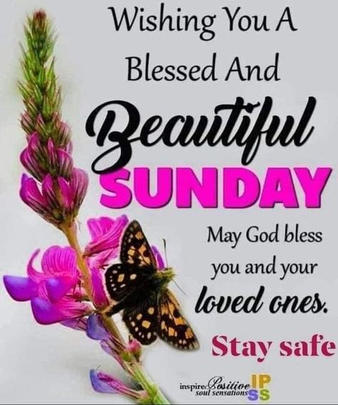 Blessings Sunday, Good Morning Motivational Quotes, Blessed Sunday Quotes, Blessed Sunday Morning, Inspirational Morning Prayers, Quotes Sunday, Happy Sunday Images, Sunday Prayer, Sunday Morning Quotes