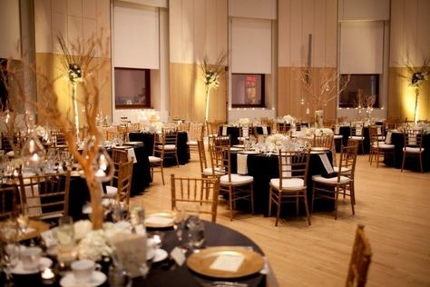 Canadian Museum of Nature Wedding Banquet Hall, Little Britain, Nature Museum, Wedding Team, Wedding Banquet, Magical Wedding, Best Wedding Venues, Go Wild, Banquet Hall