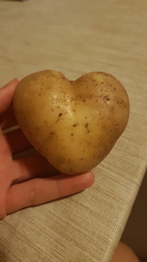 Potatoe Aesthetic, Aesthetic Potato, Potatoes Aesthetic, William Aesthetic, Potato Aesthetic, Potato Photo, Potato Picture, Happy Potato, Benefits Of Potatoes