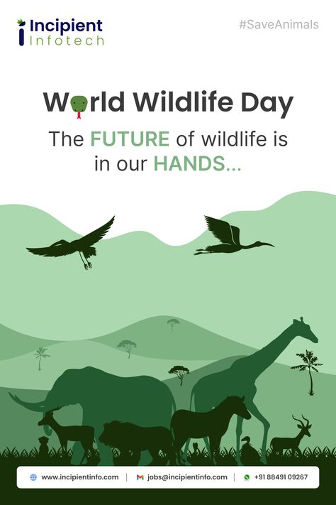 The quality of life for humans is going to get worse with the wildlife getting extinct. Let us save them for the #planet. Warm wishes on #WorldWildlifeDay. #WorldWildlifeDay2023 #HappyWorldWildlifeDay #wildlife #Nature #WWD2023 #Animals #SaveAnimals Save Wild Life Poster, Wildlife Graphic Design, World Wildlife Day, Life Slogans, Wildlife Day, Wildlife Protection, Save Wildlife, Nature Poster, Life Poster