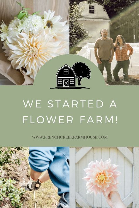 How To Become A Flower Farmer, Flower Farm For Beginners, How To Start A You Pick Flower Farm, Owning A Farm, Farm Stand Flowers, Start A Flower Farm, Wild Flower Farm, Flower Farm Stand Ideas, Flower Farm Photoshoot Ideas