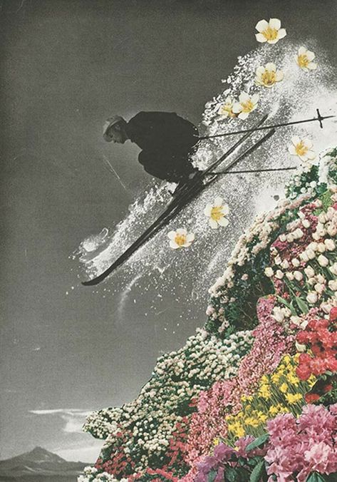 Retro and Surrealism Trippy Paintings, Paintings Tumblr, Skiing Art, Spring Skiing, Trippy Painting, Collage Art Mixed Media, Flower Arrangements Diy, Trendy Flowers, Flower Art Painting