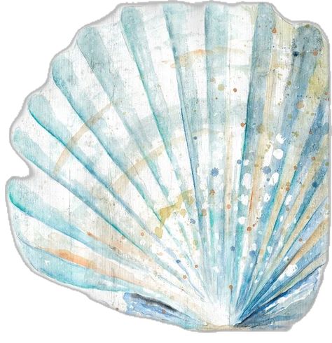 Shell Art Print, Art Coquillage, Hur Man Målar, Coastal Prints, Arte Inspo, Shell Art, Summer Wallpaper, Coastal Art, A Sea