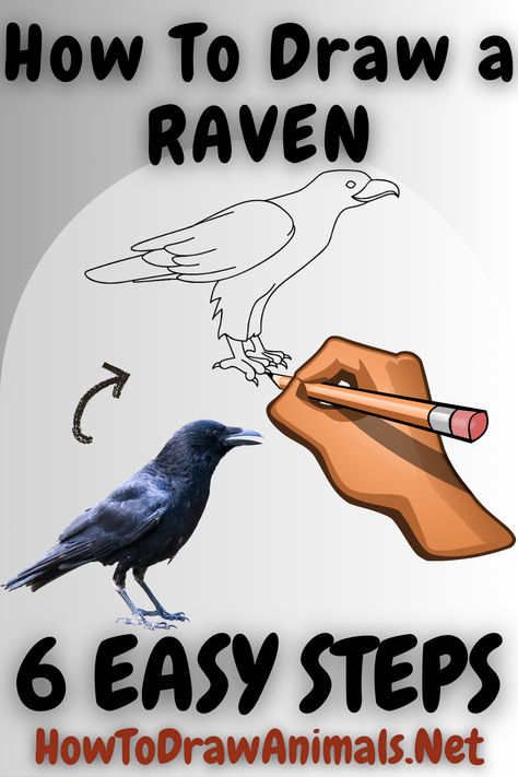 easy to follow guide to drawing a raven Raven Illustration, Crows Drawing, Drawing Birds, Art Of Drawing, Crow Bird, How To Draw Animals, Crow Art, Easy Drawing Tutorial, A Crow