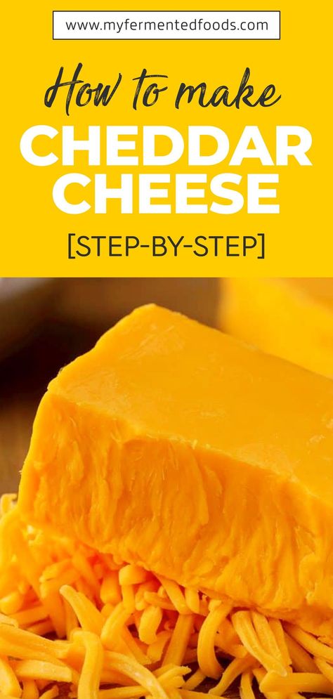 The most popular cheese in the UK and the second-most popular in the US, Cheddar cheese attracts a lot of attention, especially among true epicures. Put on your cooking gloves, as we’re about to share with you the best Cheddar cheese recipe. . . . #MyFermentedFoods #FermentedFoods #CheeseRecipe #Cheese #CheddarCheese #MakingCheese Farmhouse Cheddar Recipe, How To Make Cheddar Cheese At Home, How To Make Cheddar Cheese, Diy Cheddar Cheese, Monterey Jack Cheese Recipes, Homemade Cheddar Cheese, Home Made Cheese, Homemade Cheeses, Cozy Hobbies