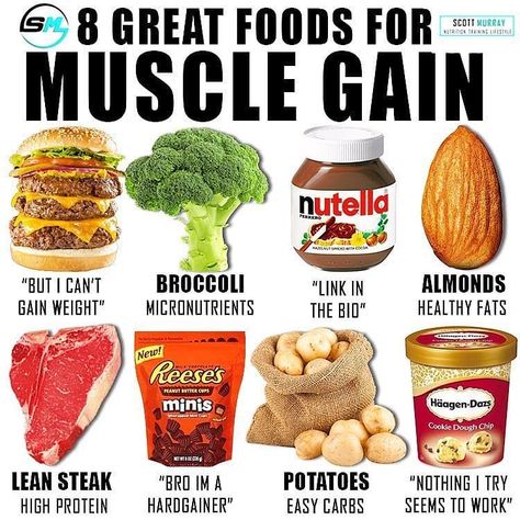 #Repost @albygonzalezfitness • • • • • 🔴Foods for muscle gains🔴 By @smurray_32  Now to the post . Protein (PRO): High PRO intakes are key for LBM growth (Lambert et al 2004) & leucine rich sources show to be superior for stimulating MPS (Norton & Wilson 2009). Therefore any of the above ANIMAL sources can supply an easy 20-30g pro/serving + 2-3g leucine which shows to be an adequate dose to stimulate MPS per meal (Moore et al 2009). While PLANT PRO won’t stimulate as much of an anabolic respon Gain Food, Food To Gain Muscle, Gym Food, Muscle Gain, Protein Rich Foods, Cardio Gym, Strong Motivation, Muscle Building, High Protein Snacks