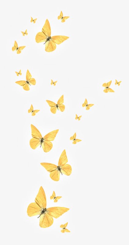 Clipart Butterfly, Yellow Butterflies, Butterfly Clipart, L Wallpaper, Golden Butterfly, Butterfly Wallpaper Backgrounds, Butterfly Butterfly, Butterfly Wallpaper Iphone, 강아지 그림