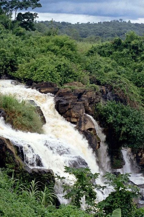 Boali Falls | Wondermondo African Jungle, African Life, Birds In The Sky, African Travel, Landlocked Country, Africa Do Sul, Central African Republic, Central African, African Countries