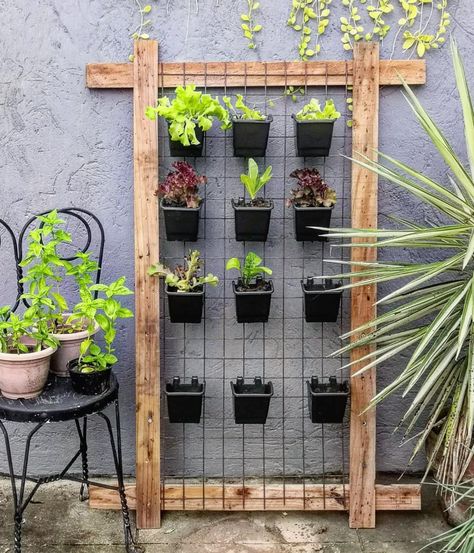 Wall Garden Ideas Outdoor Hanging Herbs, Herb Vertical Garden Wall, Green Wall Outdoor Vertical Planter, Outdoor Vertical Herb Garden, Vertical Garden Herbs, Herb Garden Trellis, Vertical Pot Garden, Vertical Outdoor Garden, Wall Flowers Garden