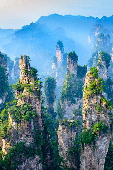 This scenic destination in China’s Hunan province is known for its 3,000 quartzite sandstone pillars. In ancient times it was considered remote and inaccessible. Apart from being one of the most beautiful natural places in the world, it is now a popular tourist spot, and the pillars are said to be similar to the floating mountains of Pandora in the film ‘Avatar‘. Where to see: Zhangjiajie National Forest Park in the Hunan Province, China Here are some beautiful natural places in the world: Zhangjiajie National Forest Park, Mountain Landscape Photography, Zhangjiajie, Places In The World, Forest Park, Beautiful Landscape Wallpaper, Beautiful Places Nature, Tourist Spots, China Travel