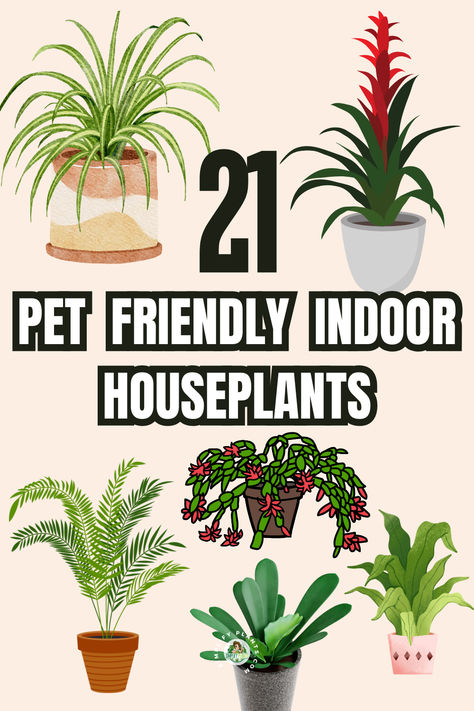 Cat Friendly House Plants Living Room, No Light House Plants, Pet Safe House Plants Cats, Plants Non Toxic To Cats, Plants That Are Toxic To Dogs, Non Toxic Plants For Cats, Pet Friendly Bedroom Ideas, Indoor Plants Safe For Cats And Dogs, Dog Friendly House Plants