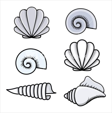 Fun #beach #seashells illustration! These #graphics would be great to use on the invitation for a summer party! They would also be great prints for your desk! Sea Shell, Sea Shells, Piercings, To Draw, Tattoo Ideas, Mermaid, Shells, Doodles, Bullet Journal