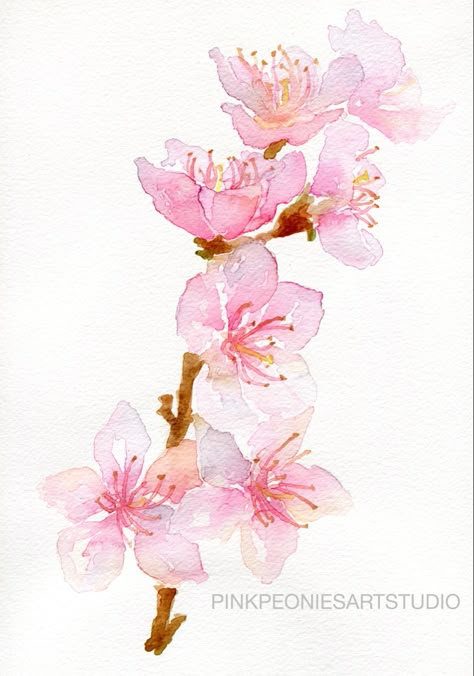 Plum Blossom Watercolor, Water Colour Cherry Blossom, Japanese Cherry Blossom Painting Easy, Japanese Painting Easy, Watercolor Art Flowers Simple, Flower Branch Painting, Wisteria Nails, Pink Simple Wallpaper, Sakura Flower Illustration