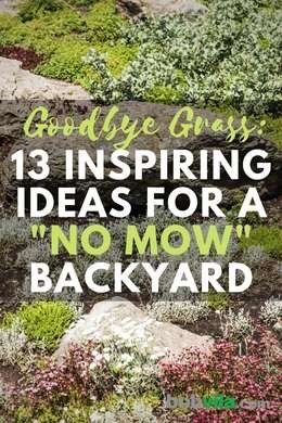 No Grass Yard, Grass Alternatives, Grass Alternative, Grass Backyard, Lawn Ideas, No Grass Backyard, Lawn Alternatives, Cheap Backyard, Diy Lawn