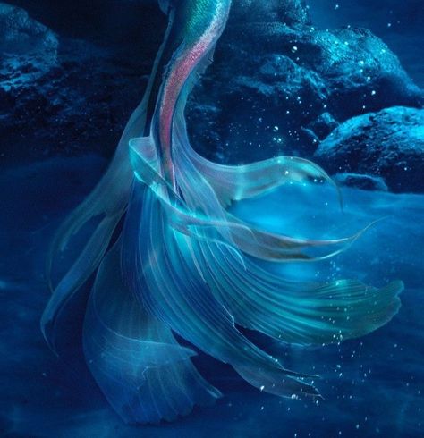 Blue Mermaid Aesthetic, Mermaid Tail Aesthetic, Blue Ocean Aesthetic, Blue Mermaid Tail, Little Mermaid Live Action, Dark Mermaid, Siren Mermaid, Water Aesthetic, Ocean Aesthetic