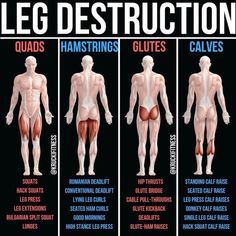 On leg day it seems to become a popular thing to make quads a priority because that the part of the leg that gets shown off the most. So when it comes to hamstrings glutes and calves they're completely left.-For a solid approach to leg day take this post into account. Pick 2 exercises from each part and from there choose your sets and reps. If you want the workout to be strength based work in the 3-8 rep range. If you want your workout to be hypertrophy based work in the 10-20 rep range. Bigger Legs, Sets And Reps, Power Workout, Quads And Hamstrings, Thing To Make, Modele Fitness, Muscle Abdominal, Trening Fitness, Legs Workout