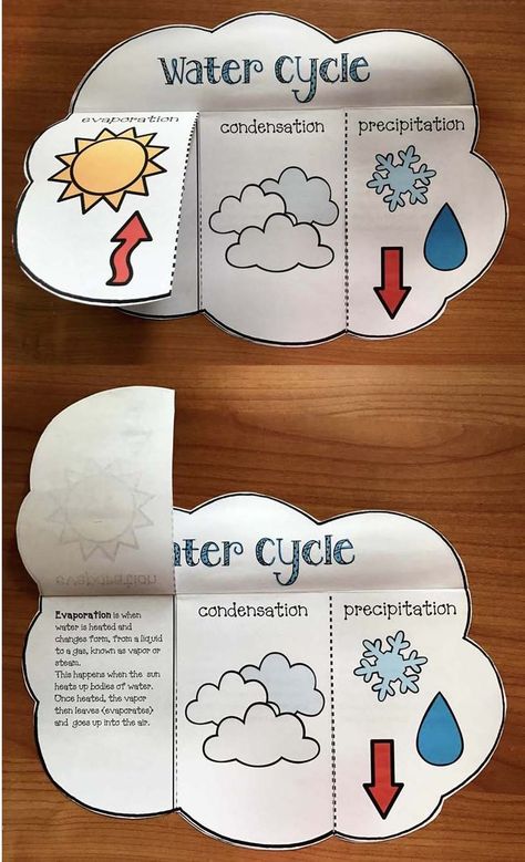 Science activities: Super-simple "print & go" (Flip-the-flap) water cycle craft. BW + Color. Water Cycle Craft, Pool Layout, Water Cycle Activities, Weather Activities For Kids, Fish Craft, Weather Crafts, 4th Grade Science, Tivoli Gardens, Science Projects For Kids